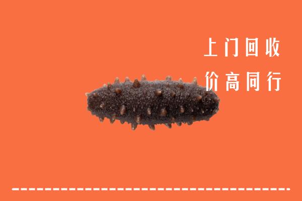 高价求购：郧阳回收海参