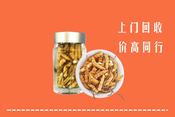 收购行情：郧阳回收冬虫夏草
